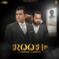 Rooh Ranjit Rana mp3 song download, Rooh Ranjit Rana full album mp3 song