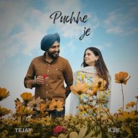 Puchhe Je TEJAY mp3 song download, Puchhe Je TEJAY full album mp3 song