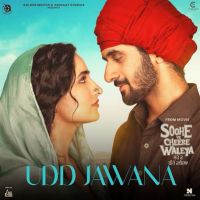 Udd Jawana (Soohe Ve Cheere Waleya) Bir Singh mp3 song download, Udd Jawana (Soohe Ve Cheere Waleya) Bir Singh full album mp3 song