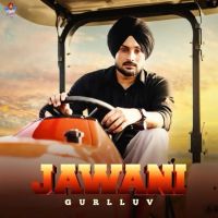 Jawani Gurlluv mp3 song download, Jawani Gurlluv full album mp3 song