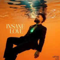 Insane Love Parry Sidhu mp3 song download, Insane Love Parry Sidhu full album mp3 song