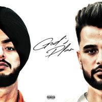 Mesmerize Zehr Vibe mp3 song download, Gods Plan Zehr Vibe full album mp3 song