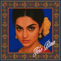 TERE BINA Ricki Dhindsa mp3 song download, TERE BINA Ricki Dhindsa full album mp3 song