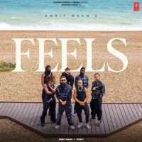 Feels Amrit Maan mp3 song download, Feels Amrit Maan full album mp3 song