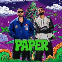Paper Husan, Sultaan mp3 song download, Paper Husan, Sultaan full album mp3 song