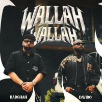 Wallah Wallah Badshah mp3 song download, Wallah Wallah Badshah full album mp3 song