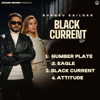 Eagle Bhangu Zaildar mp3 song download, Black Current Bhangu Zaildar full album mp3 song