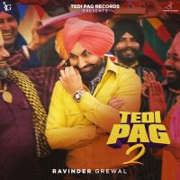 Tedi pag 2 Ravinder Grewal mp3 song download, Tedi pag 2 Ravinder Grewal full album mp3 song