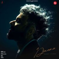 Diwana Parry Sidhu mp3 song download, Diwana Parry Sidhu full album mp3 song