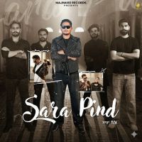 Sara Pind Alam Chatha mp3 song download, Sara Pind Alam Chatha full album mp3 song