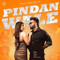 Pindan Wale Sarthi K mp3 song download, Pindan Wale Sarthi K full album mp3 song