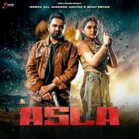 Asla Masha Ali mp3 song download, Asla Masha Ali full album mp3 song