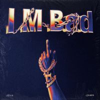 I M Bad Hukam mp3 song download, I M Bad Hukam full album mp3 song