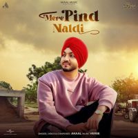 Mere Pind Naldi Akaal mp3 song download, Mere Pind Naldi Akaal full album mp3 song