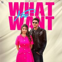 What You Want Arjun Sahota mp3 song download, What You Want Arjun Sahota full album mp3 song