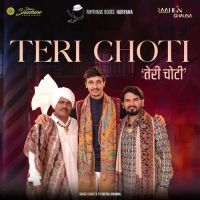 Teri Choti Somvir Kathurwal mp3 song download, Teri Choti Somvir Kathurwal full album mp3 song