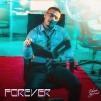 Forever Dhanda Nyoliwala mp3 song download, Forever Dhanda Nyoliwala full album mp3 song