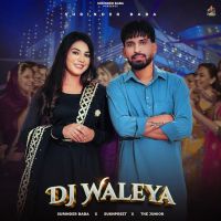 Dj Waleya Surinder Baba mp3 song download, Dj Waleya Surinder Baba full album mp3 song