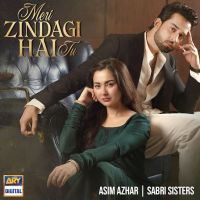 Meri Zindagi Hai Tu Asim Azhar mp3 song download, Meri Zindagi Hai Tu Asim Azhar full album mp3 song