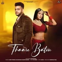 Thaare Bateu Ashu Twinkle, Raj Mawar mp3 song download, Thaare Bateu Ashu Twinkle, Raj Mawar full album mp3 song