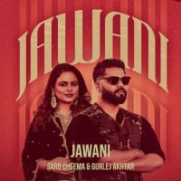 Jawani Sarb Cheema mp3 song download, Jawani Sarb Cheema full album mp3 song