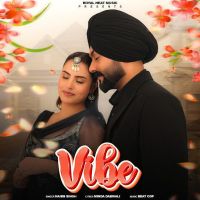 Vibe Naibb Singh mp3 song download, Vibe Naibb Singh full album mp3 song