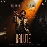 Salute Sikandar mp3 song download, Salute Sikandar full album mp3 song
