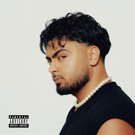 Situationship Jassa Dhillon mp3 song download, Rizz Game Jassa Dhillon full album mp3 song