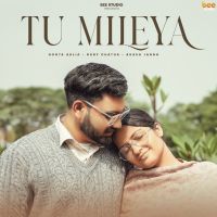 Tu Mileya Boota Aklia mp3 song download, Tu Mileya Boota Aklia full album mp3 song