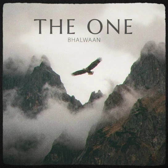 The One Bhalwaan mp3 song download, The One Bhalwaan full album mp3 song