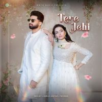 Tere Jehi Shivjot mp3 song download, Tere Jehi Shivjot full album mp3 song