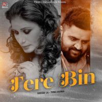 Tere Bin Naseebo Lal mp3 song download, Tere Bin Naseebo Lal full album mp3 song