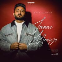 Jaane Meriye Savi Kahlon mp3 song download, Jaane Meriye Savi Kahlon full album mp3 song
