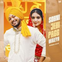 Sohni Jehi Pagg Waleya Babbar Brar mp3 song download, Sohni Jehi Pagg Waleya Babbar Brar full album mp3 song