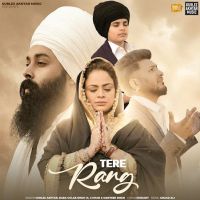Tere Rang Gurlez Akhtar, Baba Gulab Singh Ji mp3 song download, Tere Rang Gurlez Akhtar, Baba Gulab Singh Ji full album mp3 song