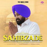 Sahibzade Nachhatar Gill mp3 song download, Sahibzade Nachhatar Gill full album mp3 song