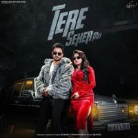 Tere Seher Me Sunny Yaduvanshi mp3 song download, Tere Seher Me Sunny Yaduvanshi full album mp3 song