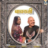 Bawalti Subhash Foji mp3 song download, Bawalti Subhash Foji full album mp3 song