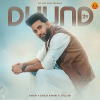 Dhund Baaghi mp3 song download, Dhund Baaghi full album mp3 song