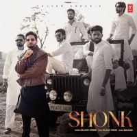 Shonk Sajjan Adeeb mp3 song download, Shonk Sajjan Adeeb full album mp3 song