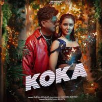 Koka Surtal Kulaar mp3 song download, Koka Surtal Kulaar full album mp3 song