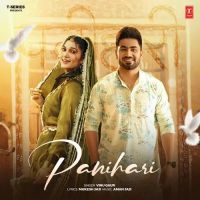 Panihari Vinu Gaur mp3 song download, Panihari Vinu Gaur full album mp3 song