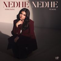 Nedhe Nedhe Noor Chahal mp3 song download, Nedhe Nedhe Noor Chahal full album mp3 song