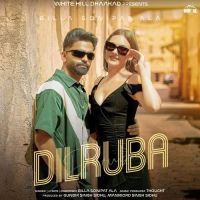 Dilruba Billa Sonipat Ala mp3 song download, Dilruba Billa Sonipat Ala full album mp3 song
