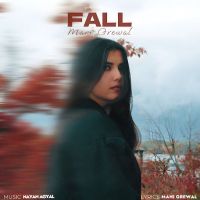 Fall Mani Grewal mp3 song download, Fall Mani Grewal full album mp3 song