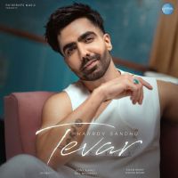 Tevar Harrdy Sandhu mp3 song download, Tevar Harrdy Sandhu full album mp3 song