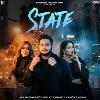 State Brandon Harry mp3 song download, State Brandon Harry full album mp3 song