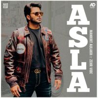 Asla Mankirt Aulakh mp3 song download, Asla Mankirt Aulakh full album mp3 song