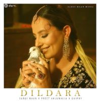 Dildara Sargi Maan mp3 song download, Dildara Sargi Maan full album mp3 song