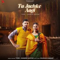 Tu Jachke Aagi Tiger mp3 song download, Tu Jachke Aagi Tiger full album mp3 song